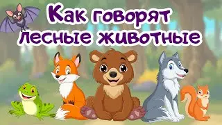 Лесные животные. Как говорят животные леса. Развивающие мультики для детей и малышей