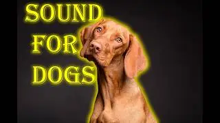 Dog Sound | Angry Dogs Barking Sound | Dog Voice  | Dog Barking