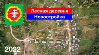 [4K] Лесная деревня Новостройка, Кузнецкий район (19.08.2022)