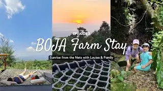 BOJA Farm Stay : Sunrise from the Nets