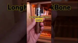 Review Cerutu DWDM Robusto By LongHaulBackBone