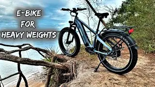 HEAVY DUTY E-BIKE HIMIWAY ZEBRA | REVIEW AND TEST RIDE