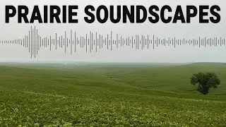 Tallgrass Soundscapes - Prairie Atmospheres Surround Audio