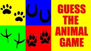 Guess the Animal Footprints Game | Animal Tracks Quiz Game for Kids, Preschoolers, and Kindergarten