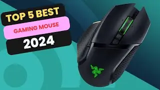 Top 5 Best Wireless Mouse For Gaming And Productivity 2024