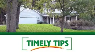 How To Prepare Your Lawn For Winter | Menards