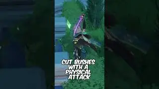 Most USELESS Genshin Impact Facts #1