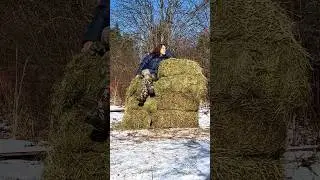 Уехать в деревню 