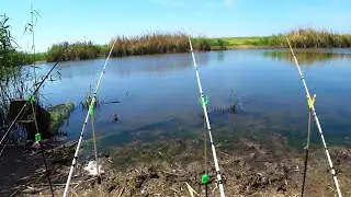 РЫБАЛКА НА ЗАКИДУШКИ. Сазан найден! Разведка одной ямы. Ловля сазана на кукурузу. Часть 2