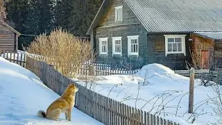 ОЧЕНЬ ТЯЖЕЛО ОТ НЕИЗВЕСТНОСТИ / СЕМЬЯ ИЗ ДЕРЕВНИ / ЛЮБИМЫЙ СНОВА ПОРАДОВАЛ / ВЛОГ