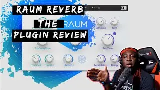 Native Instruments Raum Reverb Plugin Review