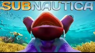 NEW Subnautica 3 LEAKS Found in TIME CAPSULES!