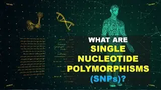 SNPs (Single Nucleotide Polymorphism)0 (Better Explained)