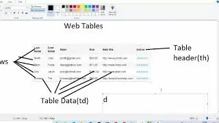 print web table in selenium | web table automation in selenium web driver