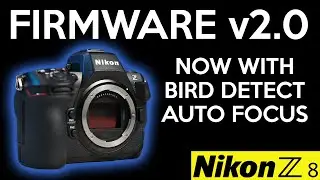 Nikon Z8 Firmware update v2.0 - Bird detection game changing autofocus