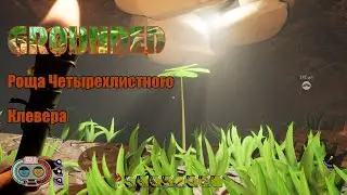 Гайд: Как найти Рощу Четырехлистного Клевера - Grounded