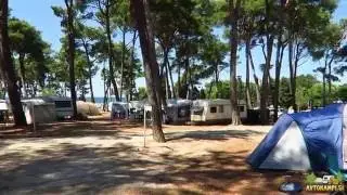 CampingIN Pineta, Savudrija