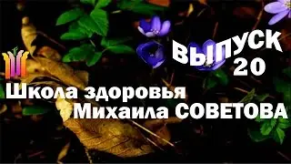 Школа здоровья Михаила СОВЕТОВА ВЫПУСК 20