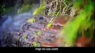 GMP качество продукции Nature's Sunshine
