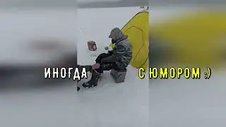 Не просто хобби, это в крови!