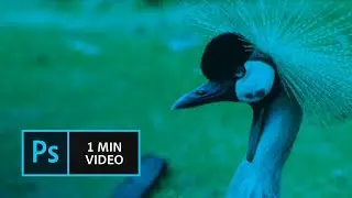 How to use the Smart Sharpen filter in Photoshop