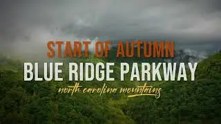 See the Beginning of Autumn Leaves Changing - Linn Cove Blue Ridge Mountains Sept 2023 #fallleaves