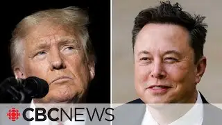 Chat with Musk shows Trump staying in comfort zone, says columnist