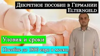 Декретное пособие в Германии (Elterngeld)