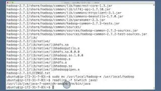 Set environment variables