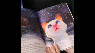 Бонифаций на каникулах