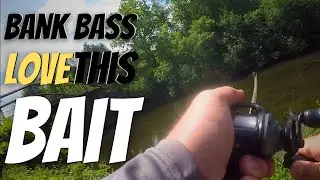 BANK FISHING For Bass With PAINTED BLADE Spinnerbaits