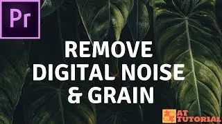 Adobe Premiere Pro CC tutorial - How to Remove Digital Noise & Grain