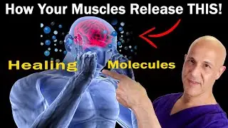 Do This to Help Your Muscles Release a Brain-Healing Molecule | Dr. Mandell