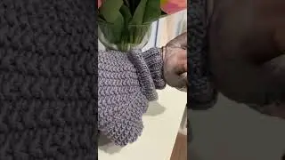 Свитер для сфинкса. Полное видео уже на канале👇🏻 #handmade #hobby #knitting #вязаниенаспицах