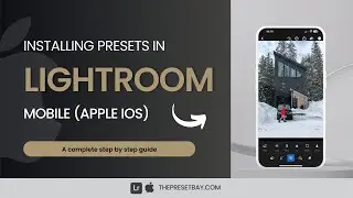 How to install presets in Lightroom Mobile on Apple Devices (2024)