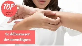 Se débarasser des moustiques - Top 5 Astuces (ToutPratique)