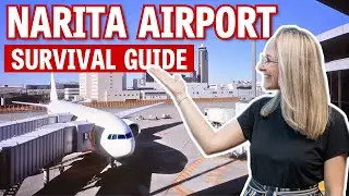 Narita Airport Survival Guide: Transport, Amenities & Accommodation