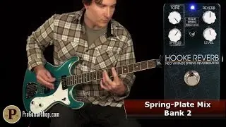 Keeley Hooke Spring Reverb