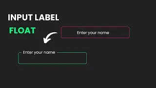 how to Create Float Input Label using HTML and CSS  