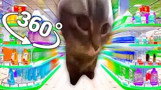 CHIPI CHIPI CHAPA CHAPA CAT - Supermarket in 360° Video | (CHIPI CHIPI CHAPA CHAPA Meme)