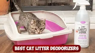 Fresh & Feline-Friendly: Revealing the Best Cat Litter Deodorizers for Odor-Free Homes!