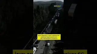 🇺🇦 Їдуть додому: в яких країнах ЄС українці відмовляються від тимчасового захисту? #shortsvideo