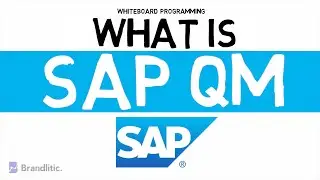 What is SAP QM Explained | Introduction to SAP QM Basics