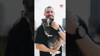 Lomachenko's hilarious reaction to a Koala l Boxing l @mainevent