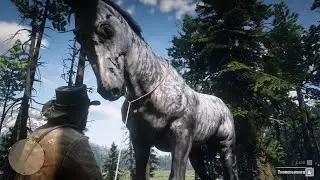 The biggest horse in Red Dead Redemption 2