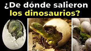 El verdadero origen de LOS DINOSAURIOS