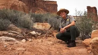 Secrets of the Moab Desert - Potholes & Tardigrades ~ 4K