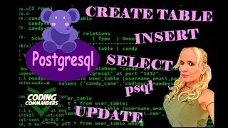 Introduction to SQL programming with PostgreSQL |  Beginner's Postgres Tutorial