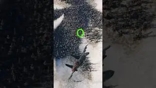 SU-27 Turns F/A-18 Hornet into Flames 
