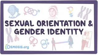 Sexual orientation and gender identity